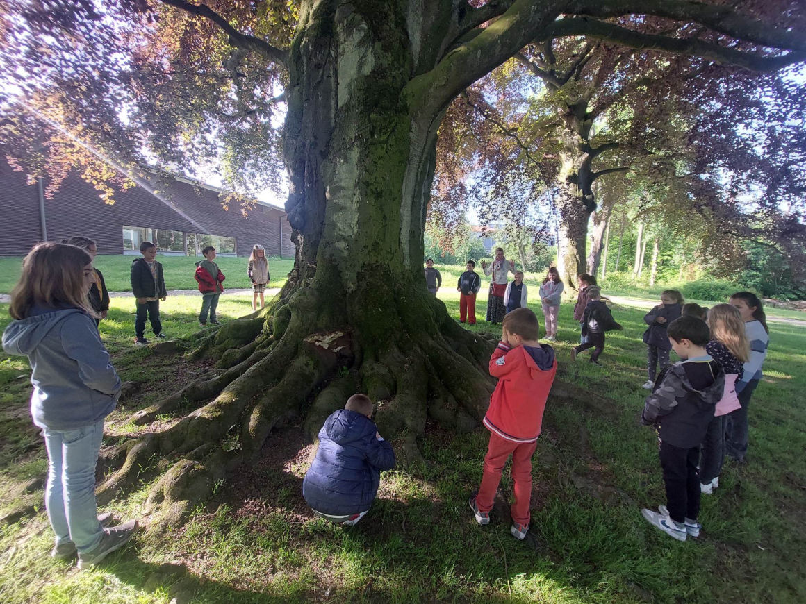 Projet d'établissement