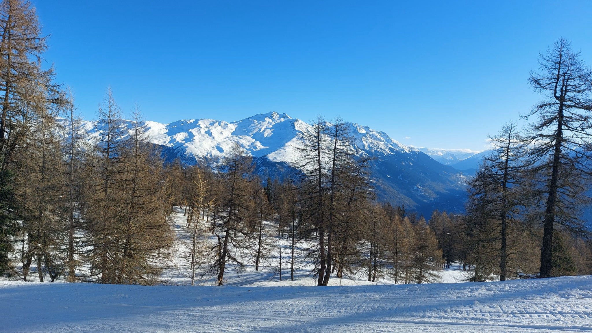 Ecole des Carrières