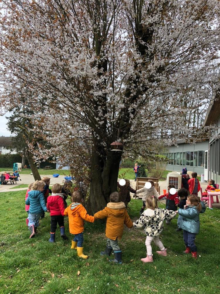 Ecole du Petit granit